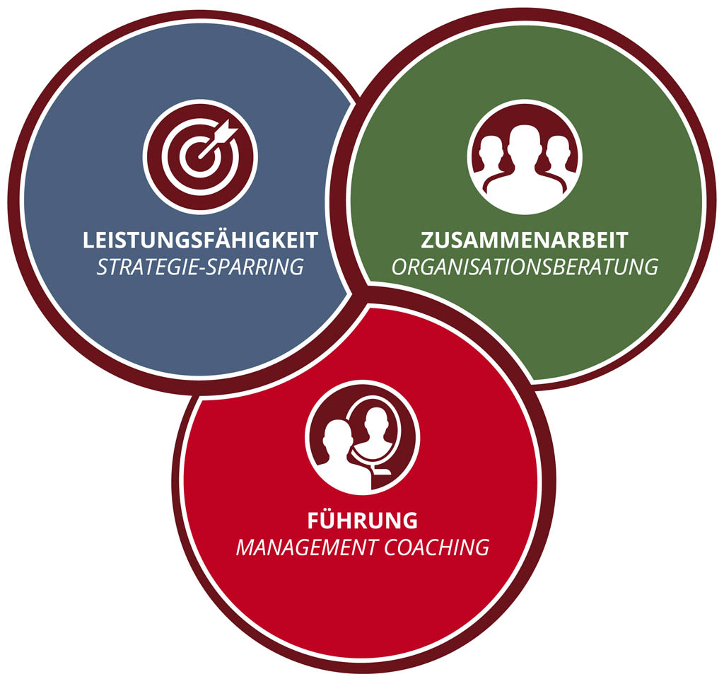 von Oertzen Managementberatung Infografik Infografik zum Leistungsspektrum der von Oertzen Managementberatung GmbH: Strategie-Sparring (Leistungsfähigkeit), Oragnisationsberatung (Zusammenarbeit), Managament Coaching (Führung)